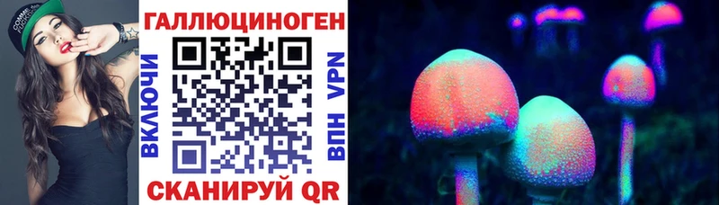 Псилоцибиновые грибы прущие грибы  Купить  Канаш 